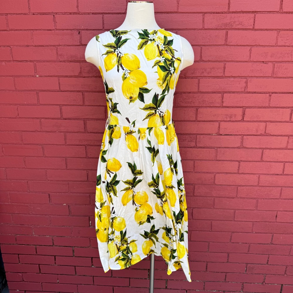Fe La Vie Lemon Print Dress Womens Size M Fit & Flare Cottagecore House Wife